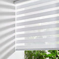 Persilux Zebra Blinds for Windows, Cordless Roller Blinds (63" W x 72" H, White) Light Filtering Sheer Window Treatments, Light Control for Day and Night, Room Darkening Roller Shades for Windows
